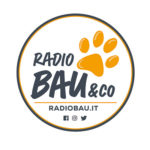 Radio bau&co
