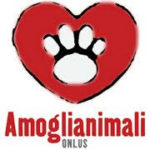 Amoglianimali onlus
