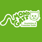 Mondogatto